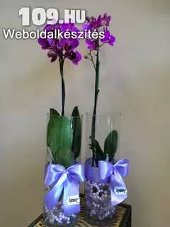 Orchidea üveg vázában