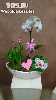 Orchideás kompozíciók