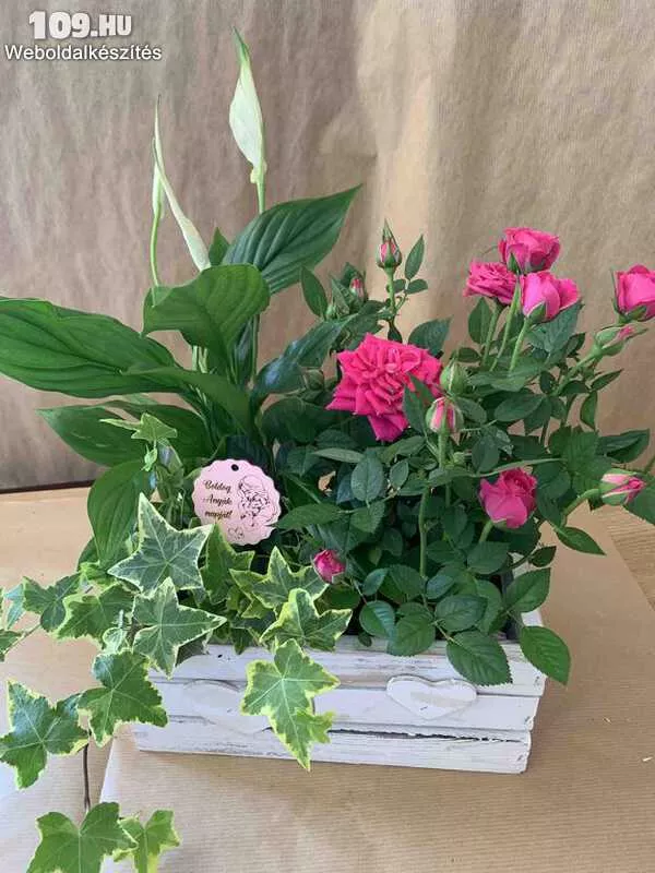 Anyák-napi cserepes virágbox